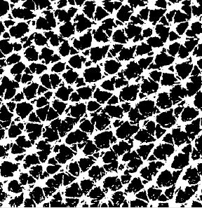 Molten Original Leather Texture